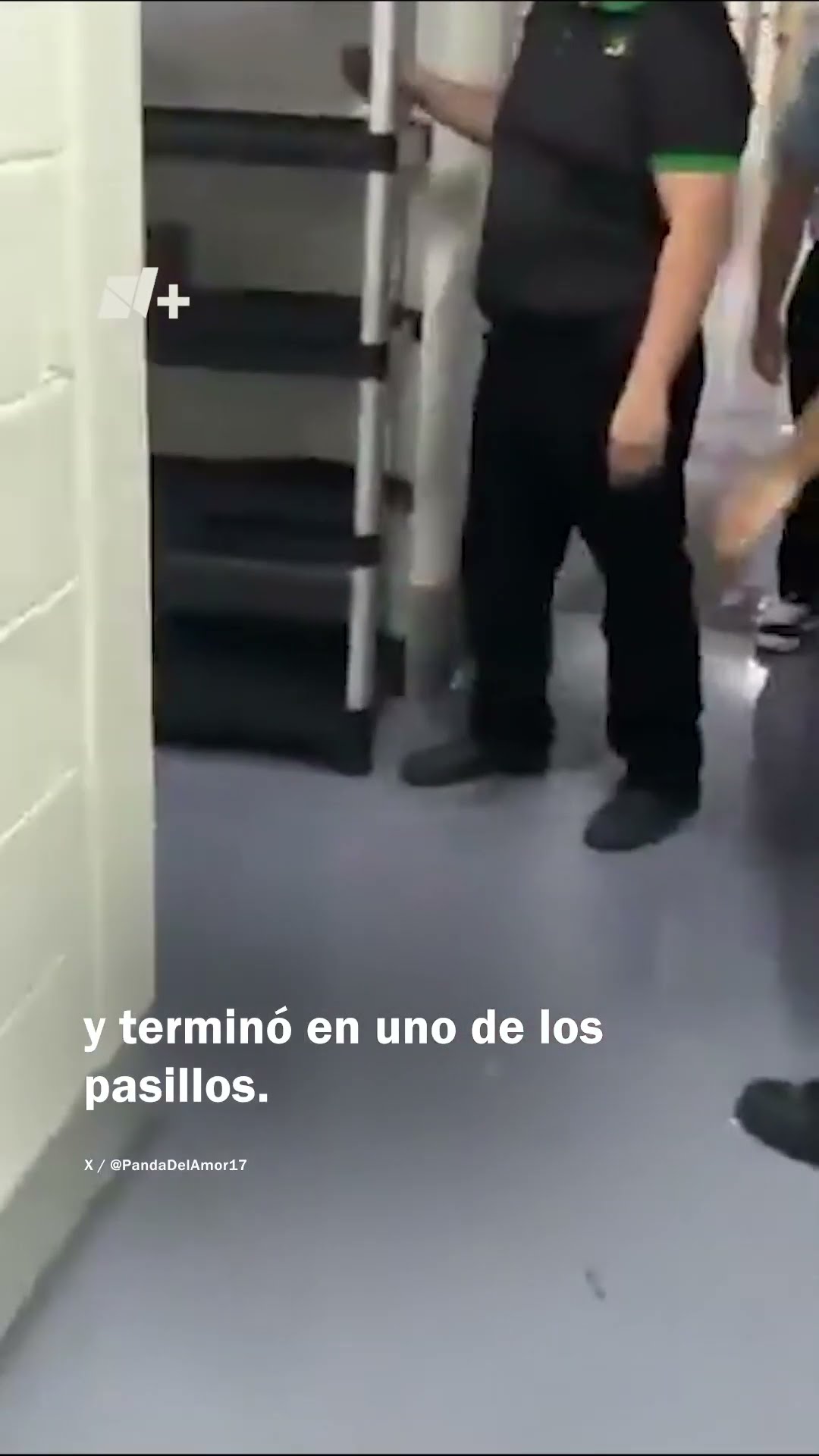 Pelea campal en Perisur: Guardias de Seguridad enfrentan a clientes - N+ #Shorts