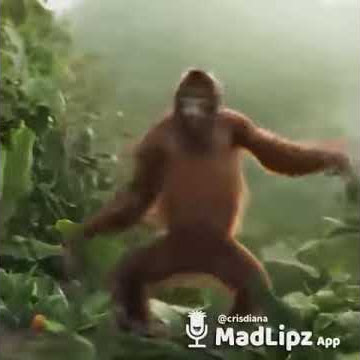 Putar ke kiri yoooo nona manis
