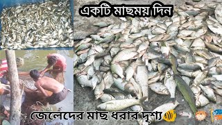 একটি মাছময় দিন || মাছের রাজ্য আমরা।