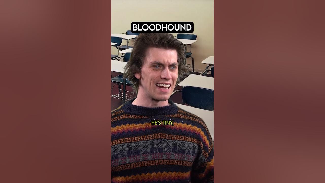 Search And Rescue Dog Training YouTube search-and-rescue-dog-training-youtube