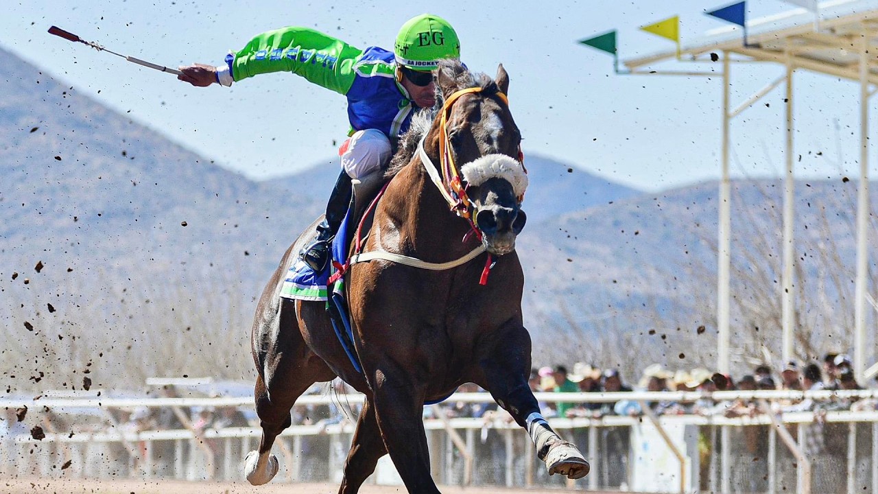 El Chino Mandarín C. Ximena 🆚 El Rey Arturo C. 2 Naciones | 225 VARAS