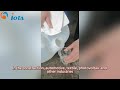 Video Image