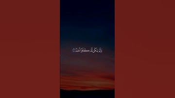 سورة الاخلاص القارئ محمد الفقيه