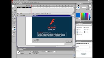 Macromedia Flash MX in 2002