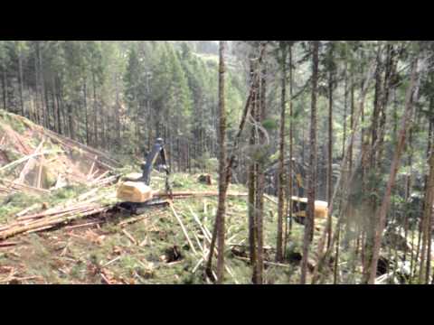 Tigercat Shovel Logger