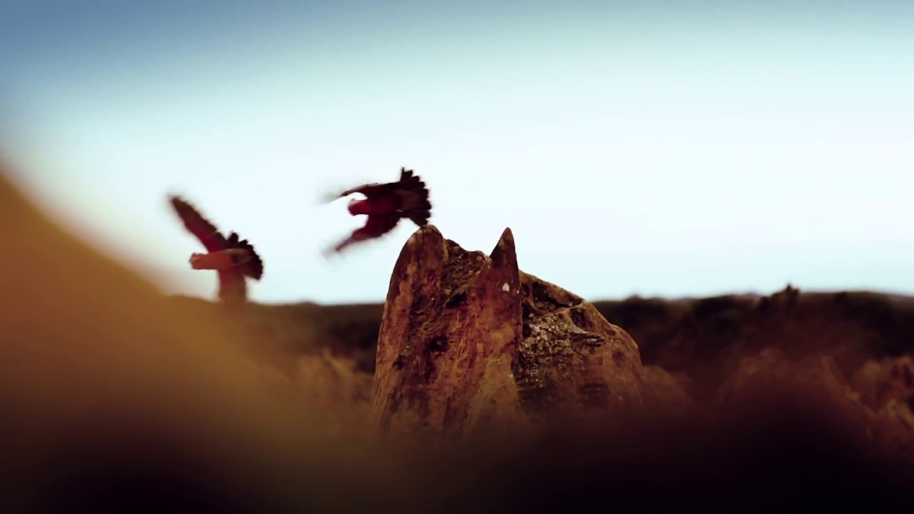 [Hiller lake] A Curious Quest | National Geographic X The new Sorento | Kia