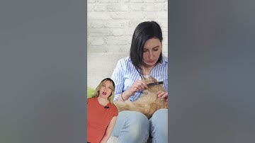 How to check your cat for fleas!