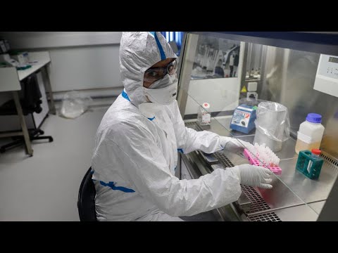 L'Institut Pasteur développe deux tests contre le coronavirus L'Institut Pasteur développe deux tests contre le coronavirus