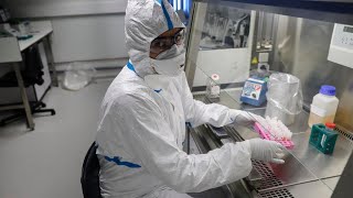 L'Institut Pasteur développe deux tests contre le coronavirus