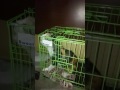 Ternyata begini cara kucing melarikan diri dari kandang.. 😁