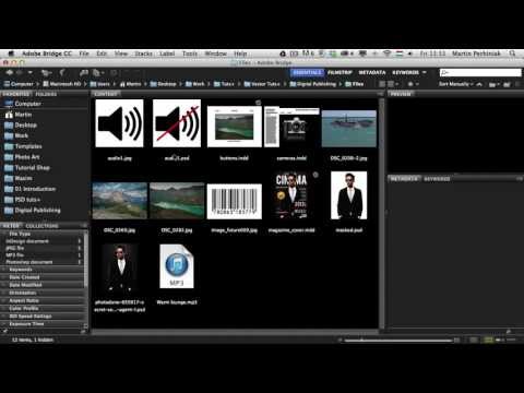Digital Publishing With InDesign CC: Audio Files