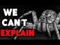 Why Spiders get Creepier the Deeper you Go