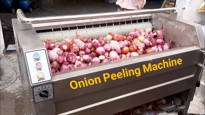 Automatic Orange Slicer Machine Onion Cutting Machine – WM machinery