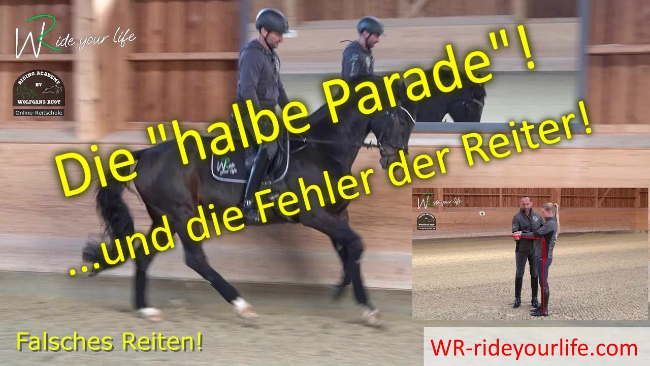Halbe Parade Am Inneren Oder äußeren Zügel F151 Die halbe Parade, der ausbalancierte Sitz, die Anlehnung, Fehler