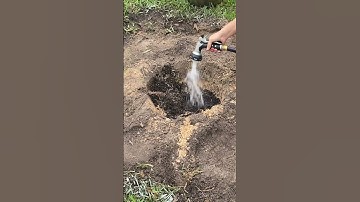 Fruitbomen planten op de gemakkelijke manier