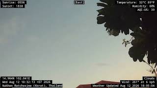 Korat Time Lapse Video 20260813