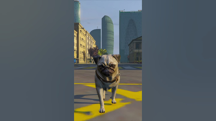МАЖОР СБИЛ СОБАКУ в ГТА 5 (GTA 5 RMRP / Криминальная Москва)