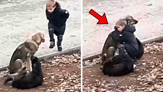 Man Sees Boy Hugging Stray Dog Every Day. When He Realizes Why, He Bursts Into Tears by Did You Know ? 2,314 views 5 days ago 7 minutes, 15 seconds