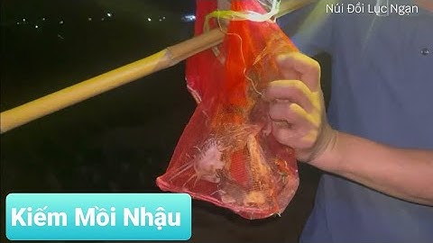 Lọ Mọ Kiếm Ăn Giữa Cánh Đồng Lúa To Duy Nhất Lục Ngạn Bắc Giang  l Núi Đồi