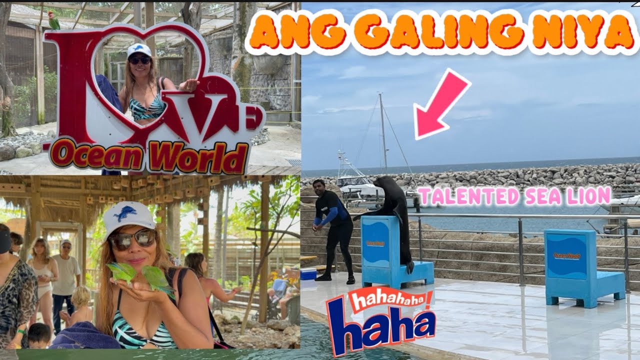 MGA FRIENDLY BIRD TALAGA SILA  TINGNAN NATIN.