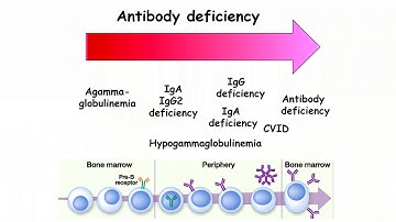 Common Variable Immune Deficiency (CVID)