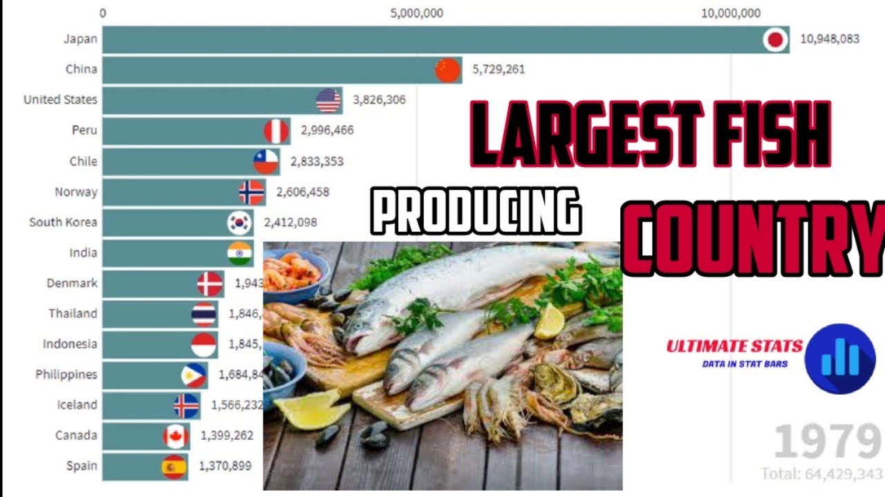 Top 15 Largest Fish Producing Countries 1970 2019 YouTube top-15-largest-fish-producing-countries-1970-2019-youtube