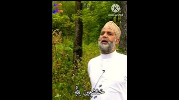 من سورة ال عمران للشيخ حسن صالح ✨❤ #hassan_saleh