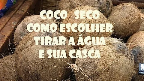 Como escolher o coco que tem mais água?