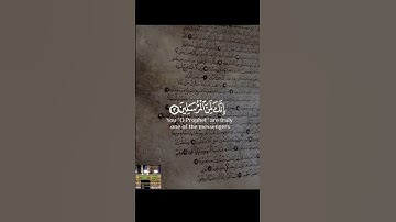 اللهم أجعل القرآن ربيع قلوبنا وجلاء همومنا  #تلاوات #قران_كريم #تلاوة_هادئة #قرآن #تلاوةخاشعة
