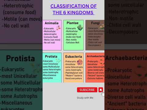 CLASSIFICATION OF THE