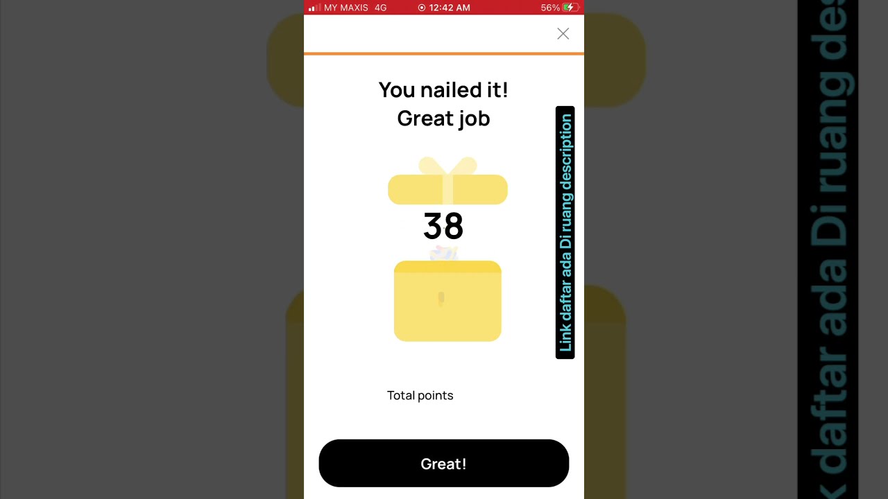 What refers to a client without a block state for verifying transactions at a small capacity?