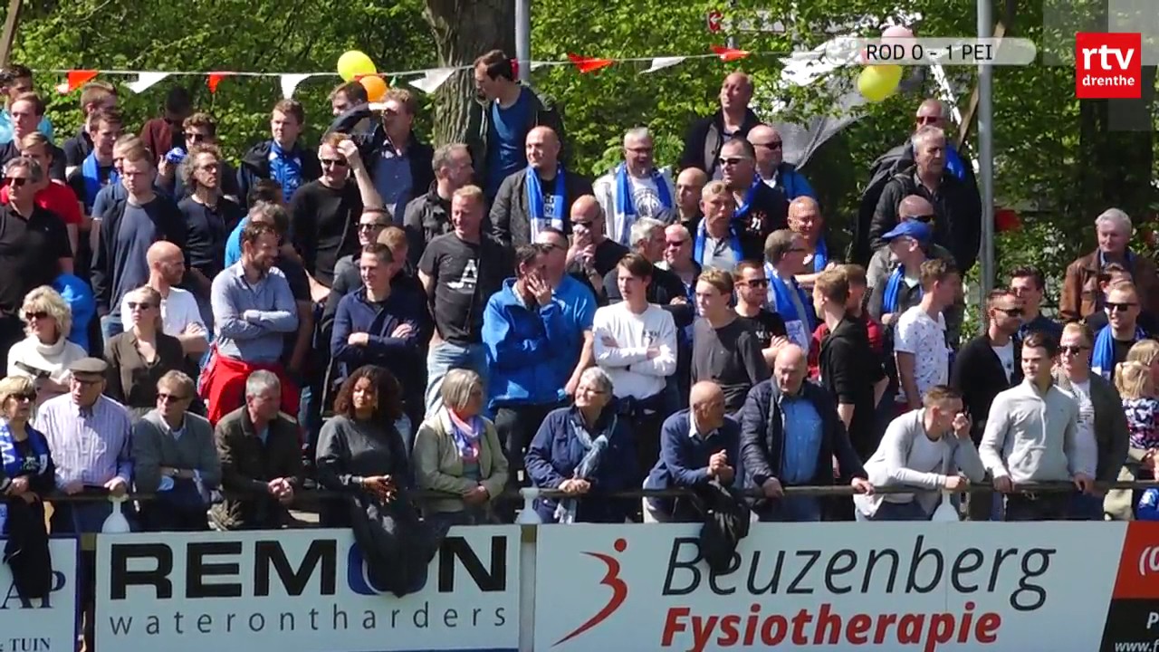 Samenvatting Roden - Peize