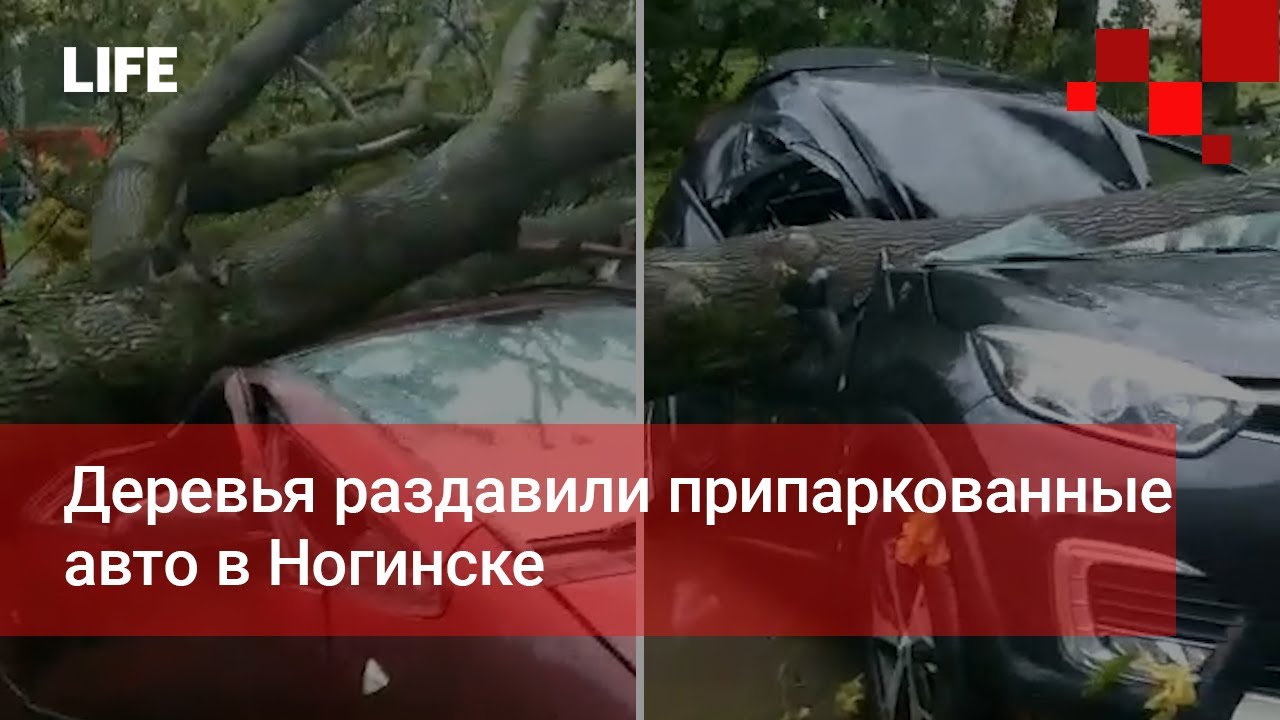 То ногинск автомобиля