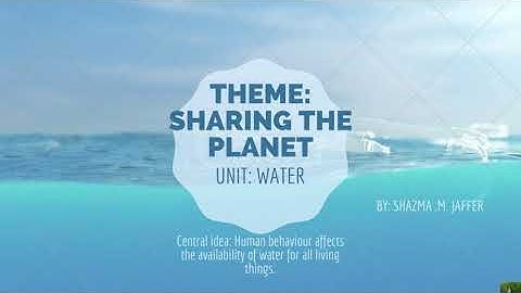 TRANSDISCIPLINARY LEARNING- IB PYP