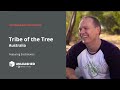 Tribe of the Tree flourishes with great inventory management