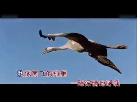陳瑞《秋日私語》1080P