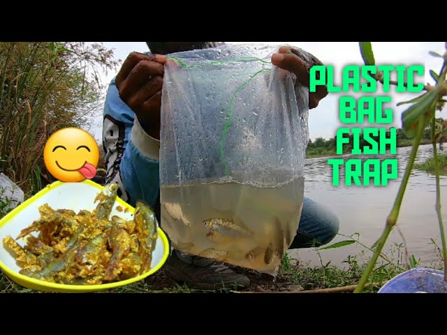 PLASTIC BAG FISH TRAP,CATCHING MANY FISHES AND COOKING 