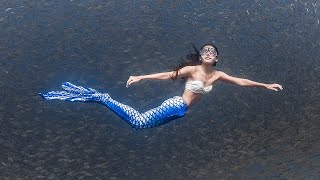 🧜🏼‍♀️🧜🏼‍♀️🧜🏼‍♀️ A Mermaid and the fishes in Menjangan Island, Bali 🧜🏼‍♀️🧜🏼‍♀️🧜🏼‍♀️