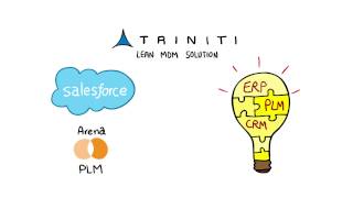 Oracle master data management - Lean software from Triniti screenshot 1