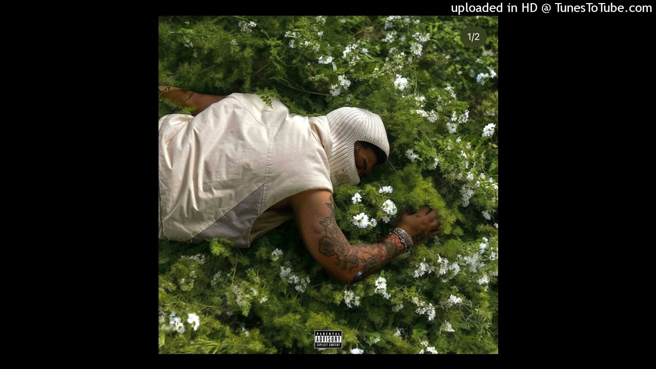 [FREE] NoCap x Toosii Sample Type Beat 2025 