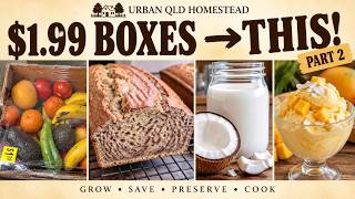 Details WE’RE NOT FINISHED WITH THOSE $1.99 BOXES! Here’s What We Made With the Fruit Update