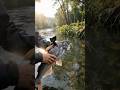 FISH POV: Mysterious Ruins Found Under the Mekong River