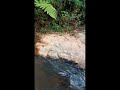 passeio na cachoeira