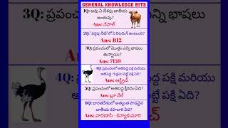 GK bits in telugu #gk #trendingshorts #generalknowledge #currentgk #dsc2025 #dsc #tetdsc #gkbits GK bits in telugu #gk #trendingshorts #generalknowledge #currentgk #dsc2025 #dsc #tetdsc #gkbits