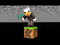SI PUÒ SOPRAVVIVERE NEL VOID DI MINECRAFT?