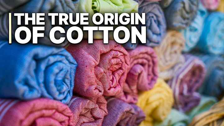 The True Origin of Cotton | The Dirty Secret Behind 'Ethical' Cotton Labels