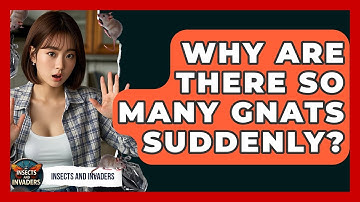Why Are There So Many Gnats Suddenly? - Insects and Invaders