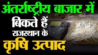 Rajasthan के कृषि उत्पाद | शैलाराम सारण : Kisan एवं Krishi विशेषज्ञ | Pusa Krishi Vigyan Mela screenshot 3