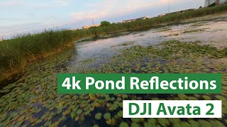 : Pondering Reflections - DJI Avata 2