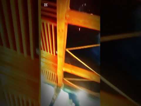 احنا زمن صايع ضايع فى مطعم